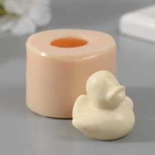 Mold Silicon 