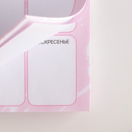 Gift set "Dream": Planing and Pen Plastic-4