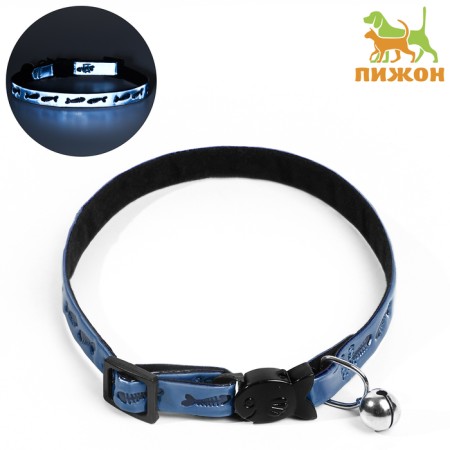 Fly collar with reflective coating of "fish", 30 x 1 cm, blue