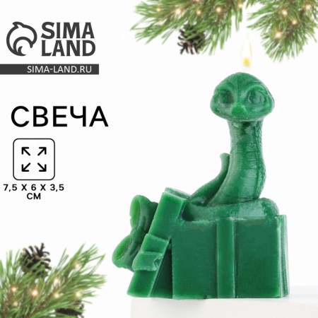 New Year's Equal candle “New Year: a snake with a gift”, green 77 x 61 x 35