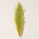 Sukhotzet "Cortery", 1 branch, length 140-150 cm, apple