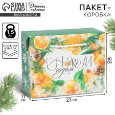 Package - Snow History, 23 x 18 x 11 cm, New Year
