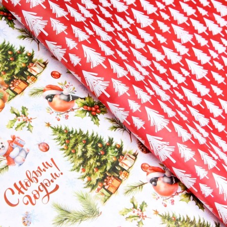 Packaging paper "White Bear", gloss, bilateral, 80 g/m2, 50 x 70 cm-2