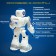 Karl robot, on the radio control, interactive, light, sound effects, works from the battery
