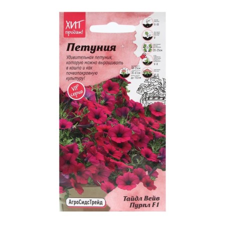 Flowers of Petunia "Toodle Vave Purple", 5 pcs