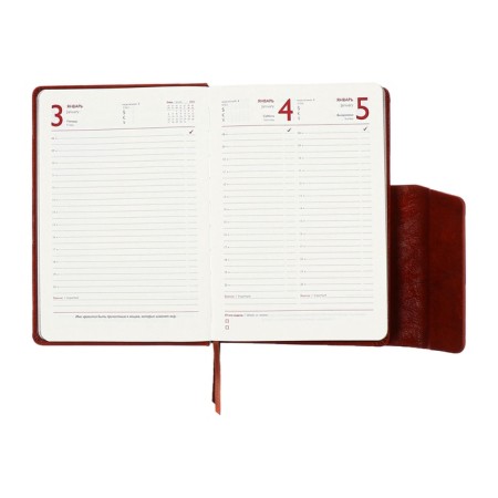 Dated 2025 diary, A5, 176 sheets of Escalada, a solid cover made of artificial leather, pancake embossing, lies, cream block 70 g/m2, brown-13