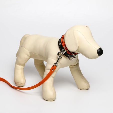 Set of a collar (58x2.5 cm) and a leash (130x1.4 cm) from eco -leather, black with orange-8