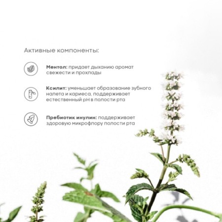 Haan's oral spray “Fragrant tea and mint”, with prebiotics, without alcohol, 20 ml-1
