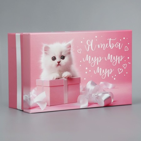 Gift rectangular, packaging, Moore-Mur, 22 x 14 x 8.5 cm-1
