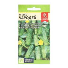 Seeds of the cucumber 