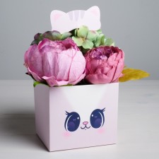 Box for flowers with the topper 