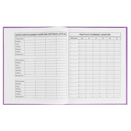 Diary 1-4 grade, 48 sheets of Kapibara, solid cover, matte lamination, fraud, glitter, glitter/m2-6