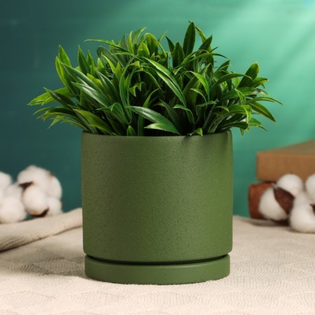 Pot "Mina" Green, 11x11x10cm-1