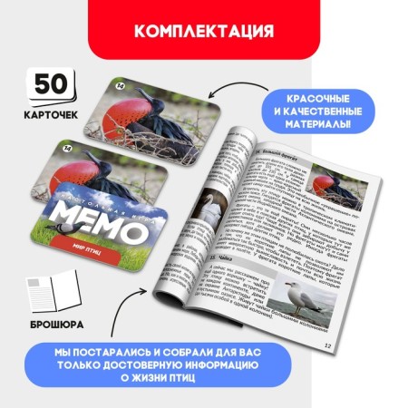 Мемо «Мир птиц»-1