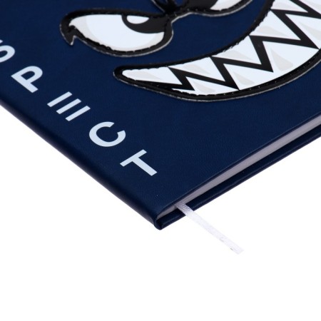 Universal diary for grade 1-11 Respect, solid cover, artificial leather, silkography, lies, 80 g/m2-2