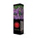 Ordinary Lilac "Cosmos" 1 pc, tube, spring 2025
