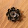 Film Flower Star of Lotus Flower, 3 x 1.5 cm