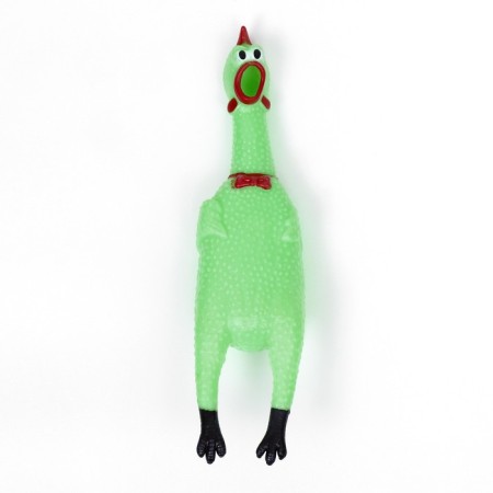 Brying toy "Bluming chicken" for dogs, 28 cm, green-1