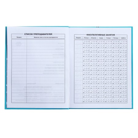Universal Diary Grade 1-11, 48 sheets "Blue Headphones", integral cover, matte lamination, selective UV-clock-6