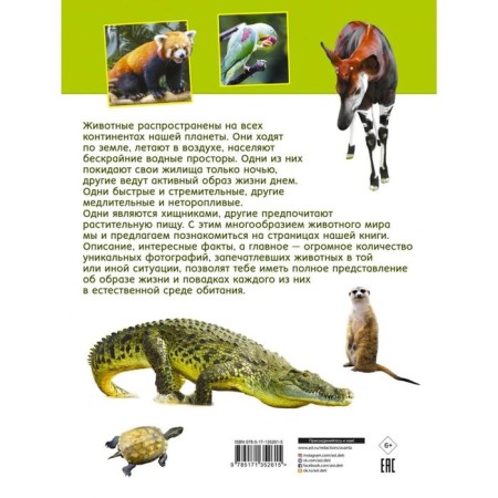 The first book about animals. 1000 photos. Weitkene L.D.-1
