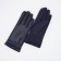 Gloves are female, dimensionless, without insulation, blue color