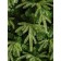 Artificial spruce Green Trees "Forest", premium, 240 cm