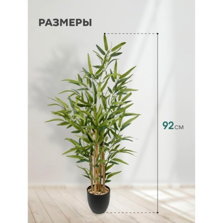 Bamboo in a plastic pot, 135 × 135 × 920 mm, green / black / beige color-1