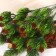 Bouquet "coniferous" small cones, 27 cm