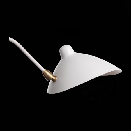 Wall lamp ST LUCE. SL305.501.02. SPRUZZO. 2x60 watts, e27, 18x75 cm, white color-9