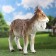 Garden figure "Horned goat" 49x18.5x42cm