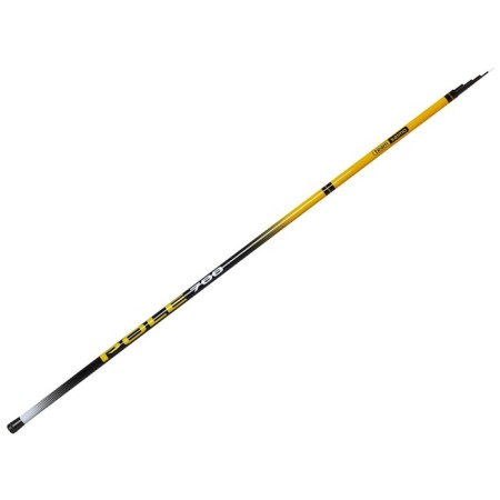 The float rod without rings Team Salmo T Pole, test 2-12 g, length 7 m.