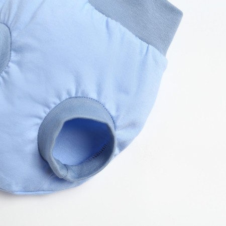 Kit (T -shirt, panties on the diaper) for children, blue color, height 80 cm-2