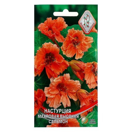 Flower seeds nasturtium terry "Salmon" 10 pcs-2