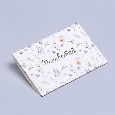 Envenue for certificate with embossing "Blave" 10.5 x 7