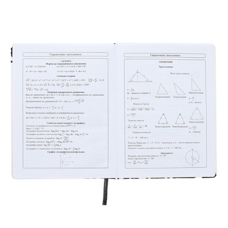 Diary 1-11 Grade "Hyipa duck", artificial leather, selective varnish, 48 sheets-9