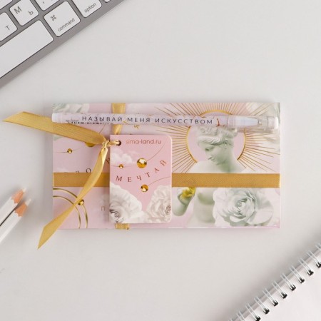 Gift set "Dream": Planing and Pen Plastic-1