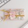 Gift set "Dream": Planing and Pen Plastic