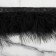 Braid with feathers Marabu, 8-10 cm, 5 ± 0.5 m, black color