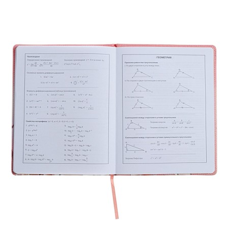 Universal Diary Grade 1-11, 48 sheets "Girl in the cap", solid covering of artificial leather, uplife, lies, universal cheat sheet, block 80 g/m2-9