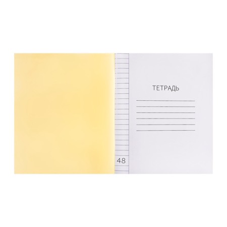Notebook 48 sheets, in a ruler, a plastic cover, with an alphabet, an offset block, yellow-3
