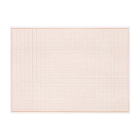 Large-scale-cordial A4 paper 10 sheets of Calligrata, orange mesh-4