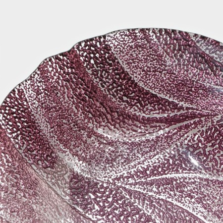 Glass of glass soup "Drachna", d = 21 cm, burgundy color-8