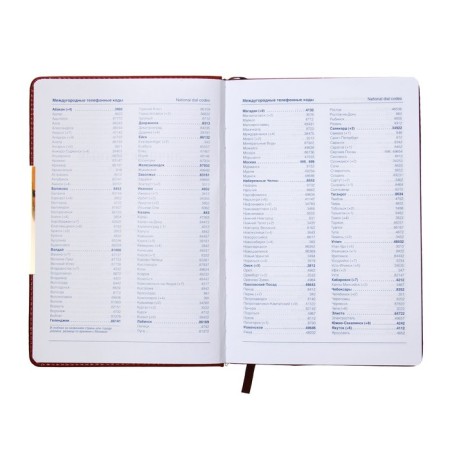 The diary is low, the PVC, A5 cover, 140 sheets in a cage, with a handle, in a gift box, mix-6