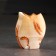 Sweeter "Squirrel", Selenite
