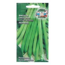 Seeds of beans 