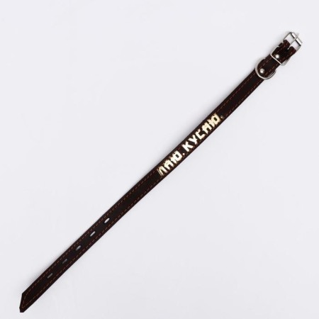 The collar is a single -layer leather, embossed “barking. I bit ", 48x2, Osh 32-43 cm, brown with gold-2