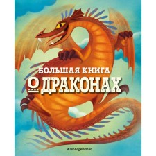 A big book about dragons. Federica Magrin