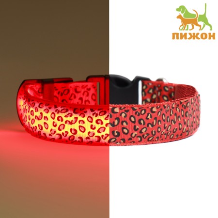 Collar with backlight leopard 3 glow modes Size S, Osh 22-40 x 2.5 cm red red
