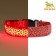 Collar with backlight leopard 3 glow modes Size S, Osh 22-40 x 2.5 cm red red