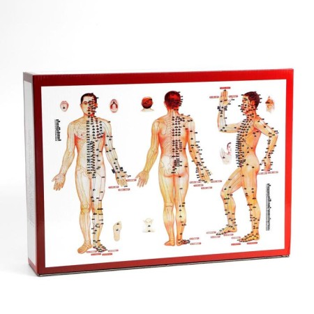 Acupunctic cans for vacuum massage with a pump, a set of 32 pcs.-6